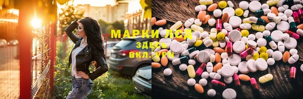 мяу мяу мука Куйбышев