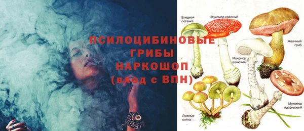 мяу мяу мука Куйбышев