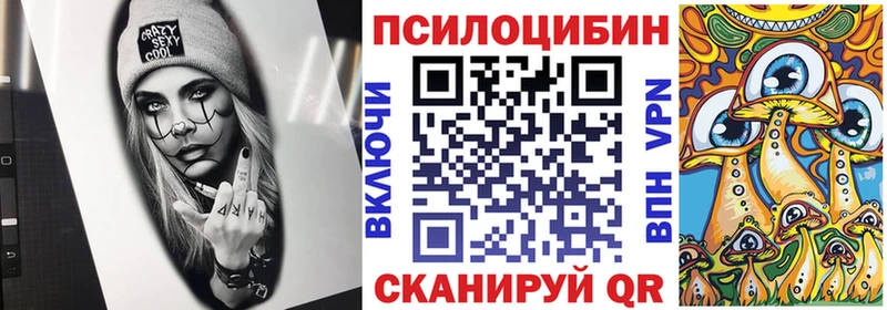Псилоцибиновые грибы Psilocybine cubensis  Купить  Апшеронск 